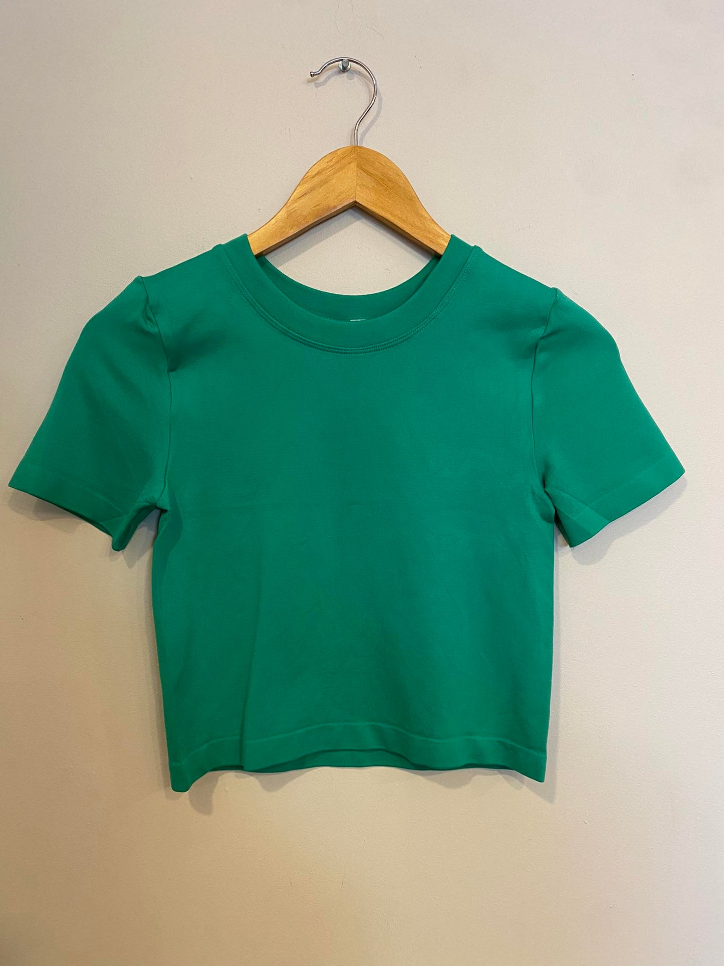 1006 Basic Sleeve Top