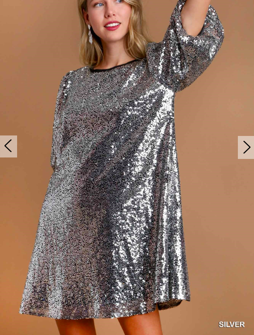 1016 Silver Sequin 3/4 Sleeve Dress