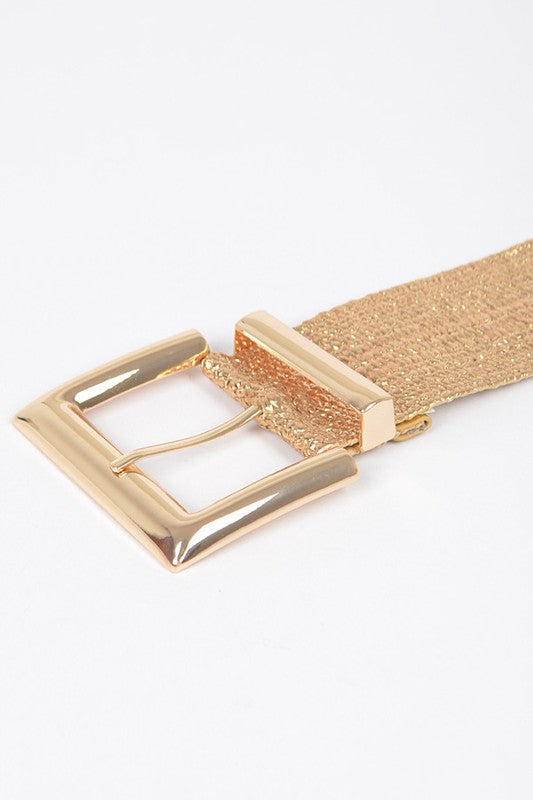 1104 Metallic Straw Elastic Belt
