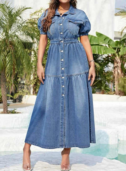 1003 Button Down Denim Maxi Dress