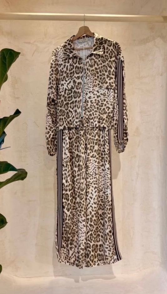 2629 Satin Animal Print Jogger Set