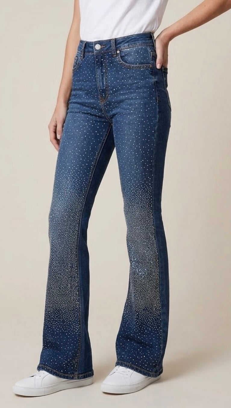 1783 Rhinestones Denim Pant
