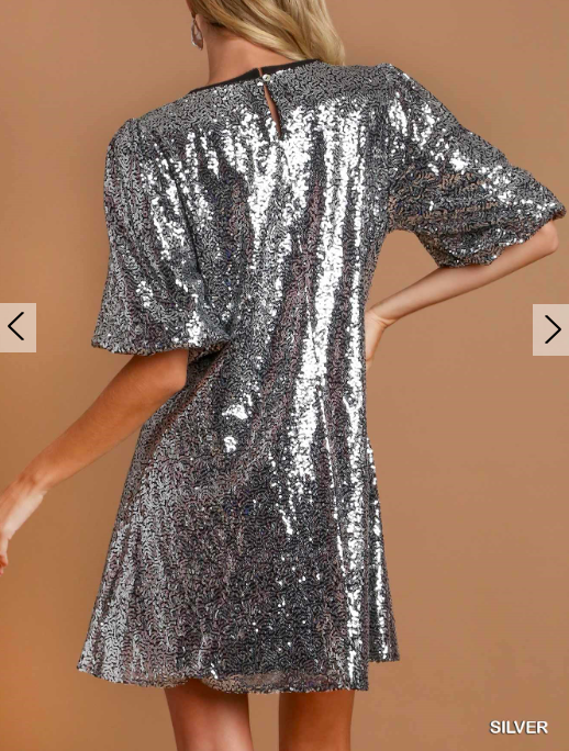 1016 Silver Sequin 3/4 Sleeve Dress