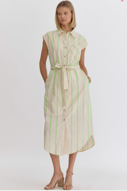 Button Down Lime Striped Collar Dress