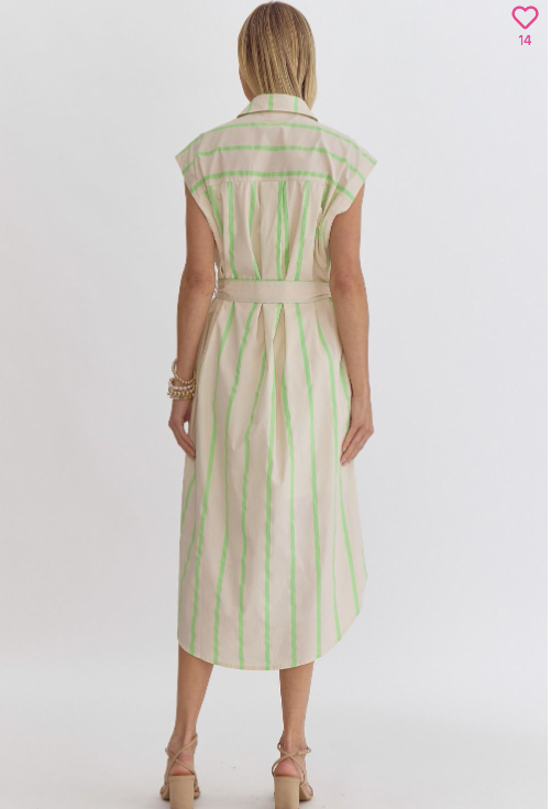 Button Down Lime Striped Collar Dress