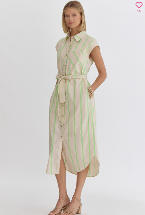 Button Down Lime Striped Collar Dress